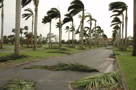 Buy travel insurance when you book. If you’re buying a trip cancellation or trip delay package for a trip to the Caribbean during hurricane season, you’re typically covered ... as long as any storm heading toward your island doesn’t have a name yet. 